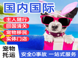 文山砚山机场快运国际宠物托运 【国